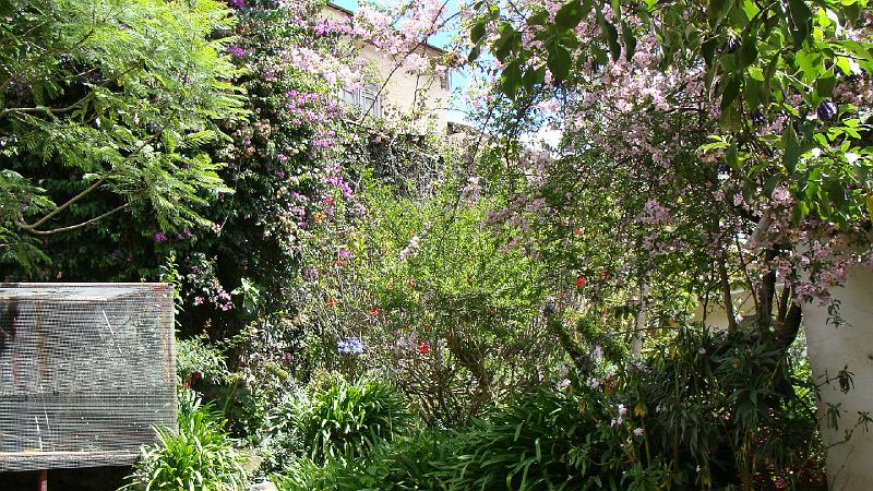 Sorata Stevs (2).JPG